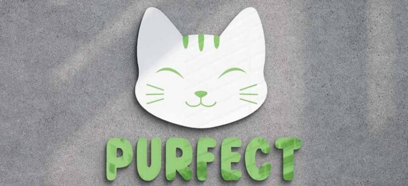 Bảo vệ đồ án | Nguyễn Mai Hương và nhãn hiệu đáng yêu dành cho mèo