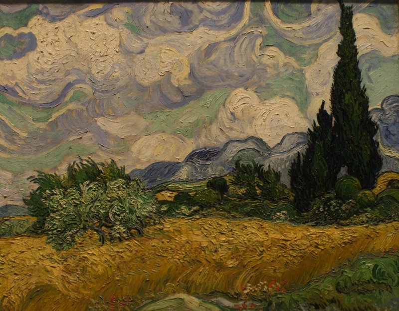Wheat Field with Cypresses