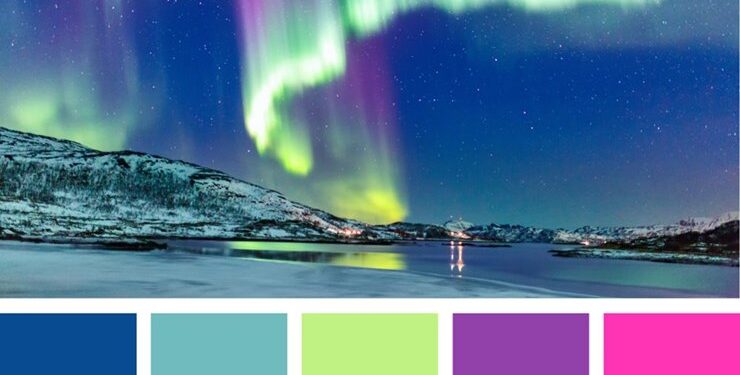 Cách tạo bảng màu (color palette) từ một bức ảnh