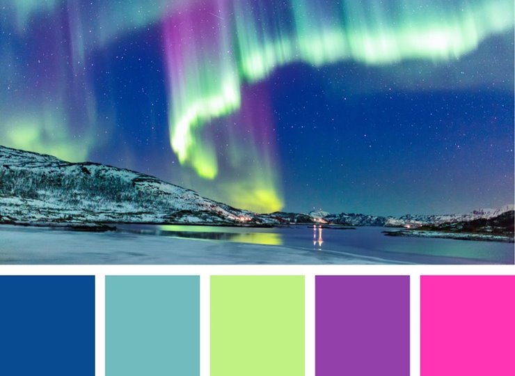 Cách tạo bảng màu (color palette) từ một bức ảnh