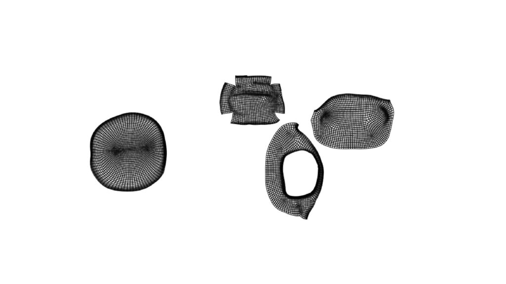 Đồ án nổi bật học sinh của Mastermedia